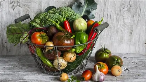 10 продуктов, которые помогают предотвратить рак 10 продуктов, которые помогают предотвратить рак