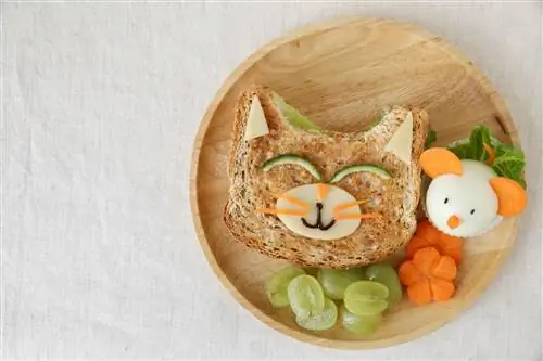 Кот Кот