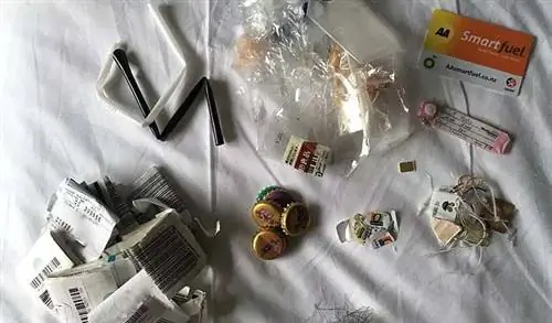 Некоторые из редких отходов, произведенных Луизой Сальвати во время ее мирового турне. Некоторые из редких отходов, произведенных Луизой Сальвати во время ее мирового турне.