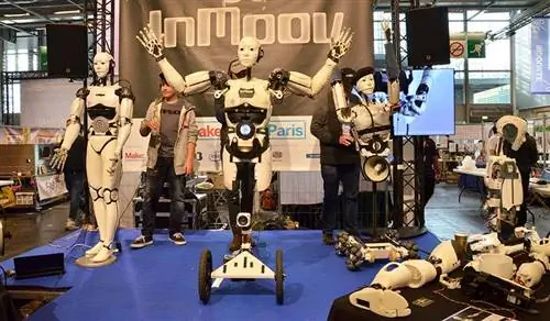 3D-печатные роботы Inmoov. 3D-печатные роботы Inmoov.