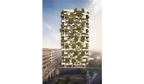 Картина Картина