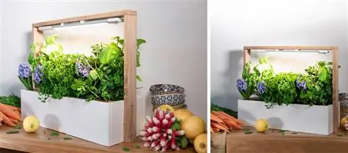 Картина Картина