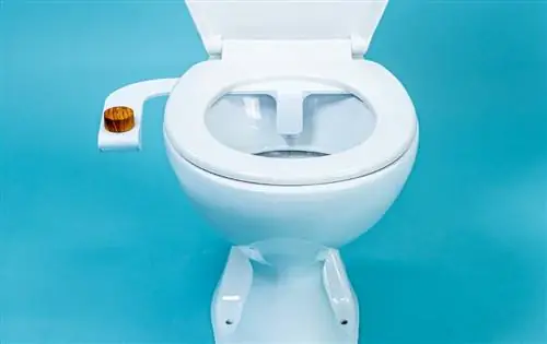 Картина Картина