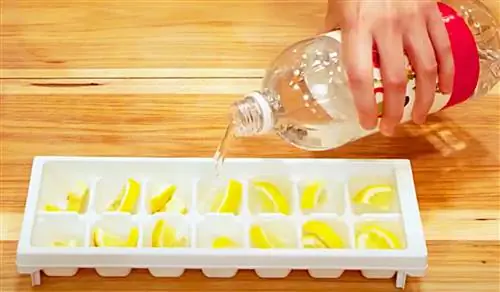 Очистители для мусора с лимоном и льдом своими руками