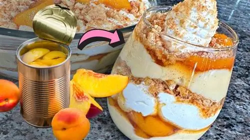 Вкуснейший персиковый пудинг