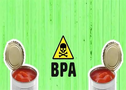 Консервированные помидоры вредны для организма Консервированные помидоры вредны для организма