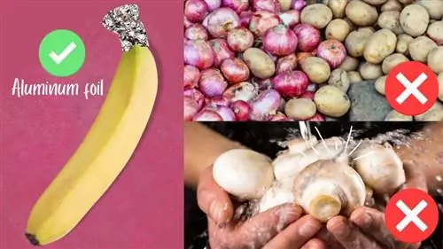 Как сохранить фрукты & Овощи свежими дольше