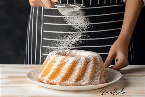 Пончик с йогуртом и мандаринами, без масла, но с большим вкусом