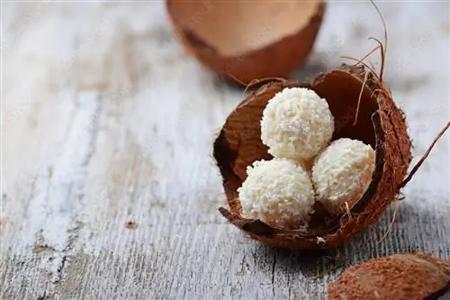 Кокосовые трюфели: быстрое лакомство с неотразимым вкусом