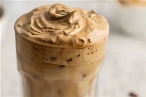 Cremosino с кофе: мягкость, компактность, ложечка удовольствия