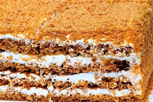 Медовик можно приготовить за 15 минут: один из самых простых и вкусных рецептов! Медовик можно приготовить за 15 минут: один из самых простых и вкусных рецептов!