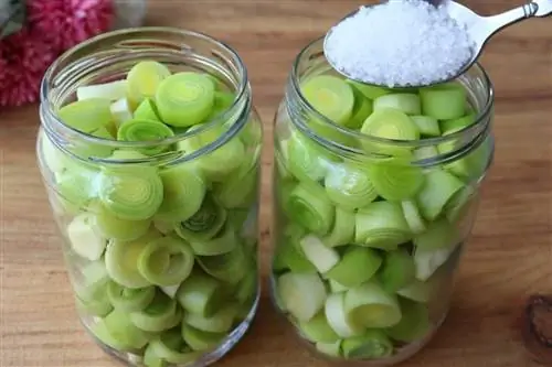 лук-порей в банке вот как лук-порей в банке лук-порей в банке вот как лук-порей в банке