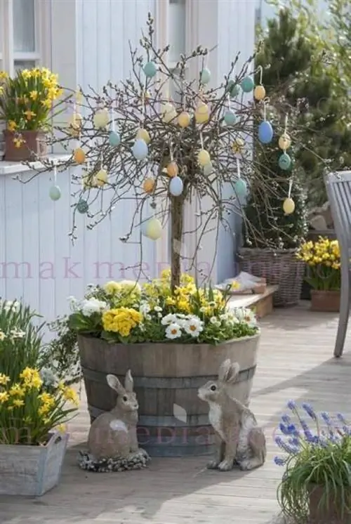 Holzfas bepflanzt с Salix caprea 'Pendula' (Kaetzchenweide) Fruehling auf Deck, Weide im Fass, Primeln, Bellis, Narzissen, Muscari