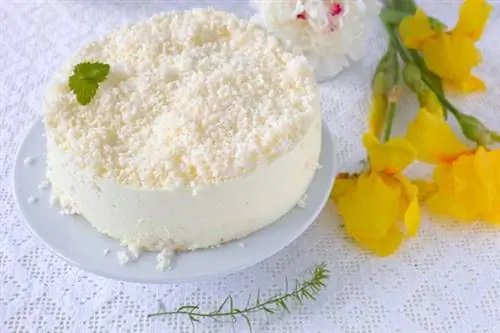 Торт из кокоса и белого шоколада: просто и вкусно! Торт из кокоса и белого шоколада: просто и вкусно!