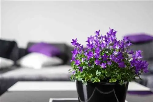 6 советов по цвету, которые изменят ваш дом