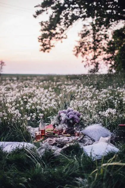 Пикник в окружении цветов
