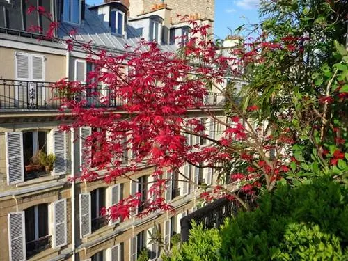 "Балкон в городе - творение ландшафтного дизайнера Гастона Бинтнера из Parisbalcon.com "Балкон в городе - творение ландшафтного дизайнера Гастона Бинтнера из Parisbalcon.com