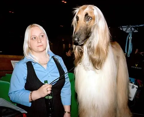 Изображение Изображение