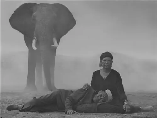 Ник Брандт и Джо-Энн МакАртур о фотографии и изменении жизни животных