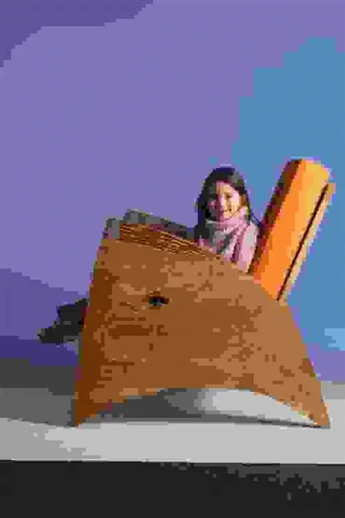 изображение изображение