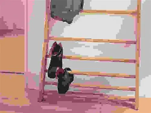 изображение изображение