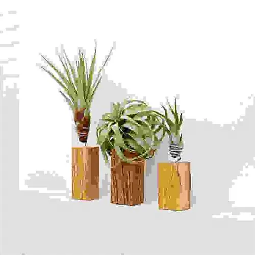 ImagePacaya, Almolonga и Santa María on Olive Block EVRGREEN Vertriebs GmbH Необычное украшение ванной комнаты ImagePacaya, Almolonga и Santa María on Olive Block EVRGREEN Vertriebs GmbH Необычное украшение ванной комнаты