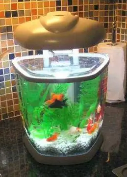 аквадизайн аквариум со звездами аквариум журнальный столик Аквариум от Aqua Design