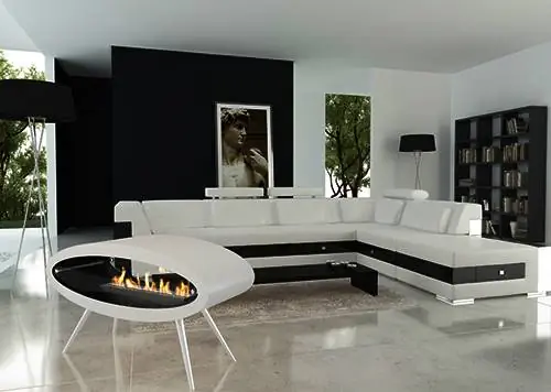 потолок пол камин на биотопливе на этаноле decoflame ellipse 3 Потолок / пол биотопливный камин на этаноле от Decoflame - Ellipse потолок пол камин на биотопливе на этаноле decoflame ellipse 3 Потолок / пол биотопливный камин на этаноле от Decoflame - Ellipse