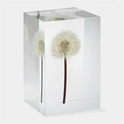 107251 A2 Dandelion Objet DArt thumb 630x630 56955 Декор с одуванчиками: тенденция к декорированию дома растет 107251 A2 Dandelion Objet DArt thumb 630x630 56955 Декор с одуванчиками: тенденция к декорированию дома растет