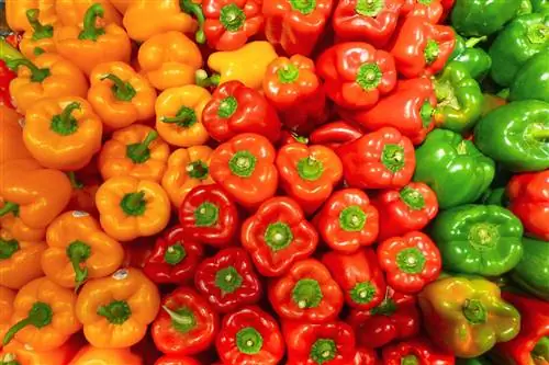 компаньон_planting_peppers_nick-fewings-unsplash