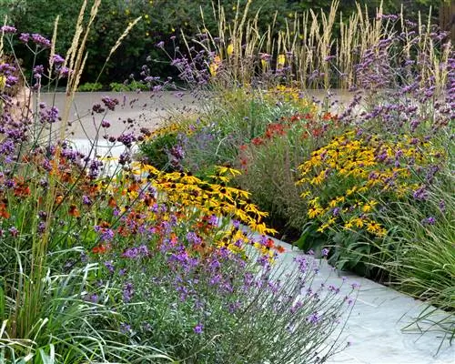 Как посадить бордюр дачного сада - Трейси Фостер Garden Design Как посадить бордюр дачного сада - Трейси Фостер Garden Design