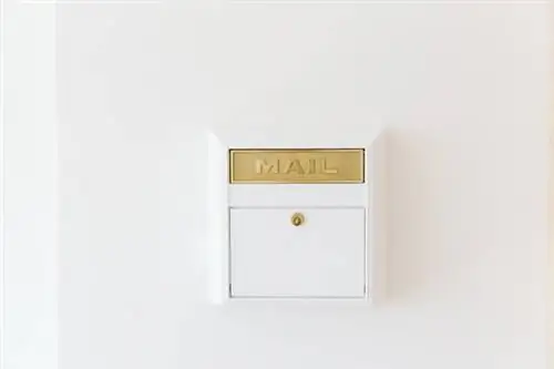 Как проверить, пересылается ли ваша почта через USPS