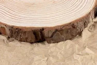 Плита из среза дерева Плита из среза дерева