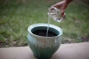 Изображение Изображение