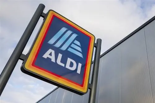 Это популярное печенье наконец-то снова в Aldi