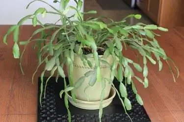 Изображение Изображение