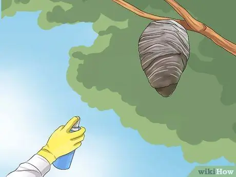 Убить пчелу Шаг 10 Убить пчелу Шаг 10