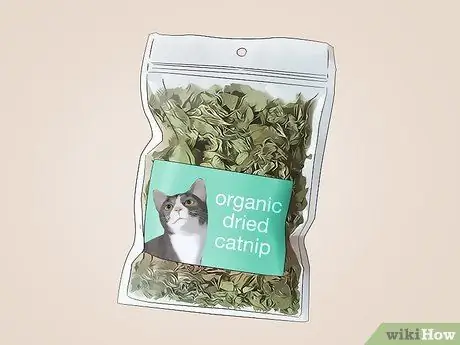 Используйте кошачью мяту Шаг 7 Используйте кошачью мяту Шаг 7