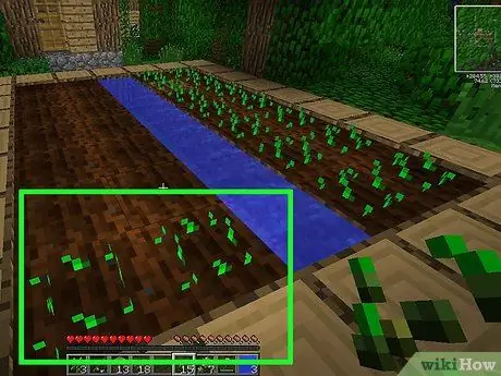 Сделайте файлы cookie в Minecraft, шаг 6 Сделайте файлы cookie в Minecraft, шаг 6