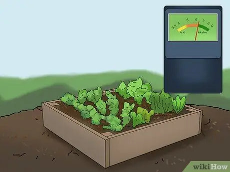 Купите органические сухие удобрения, шаг 2