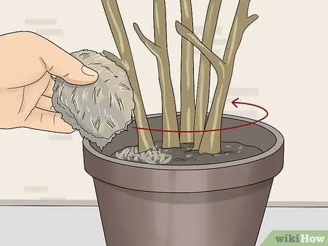Зимние фуксии Step 13 Зимние фуксии Step 13