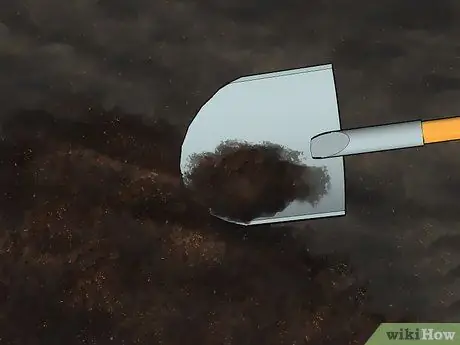 Выращивание олеандра, шаг 4