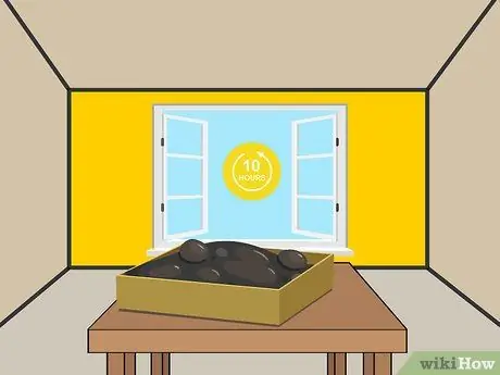 Растение Ночной Цветущий Жасмин Шаг 05