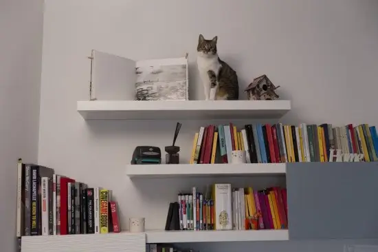 идеи книжной полки