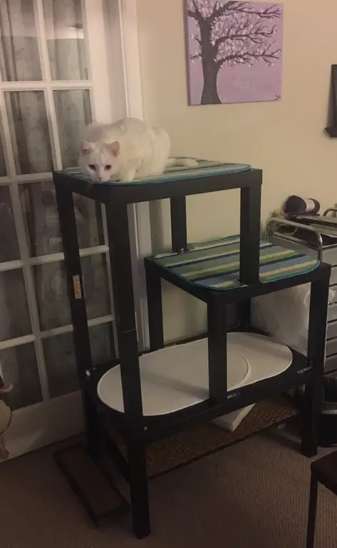 Раздельный уровень LACK Cat “Tree”