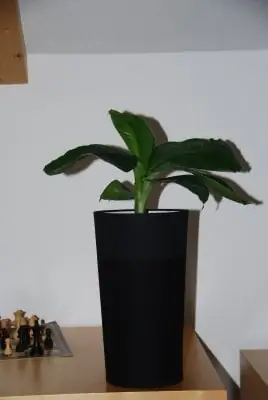 Изображение Изображение
