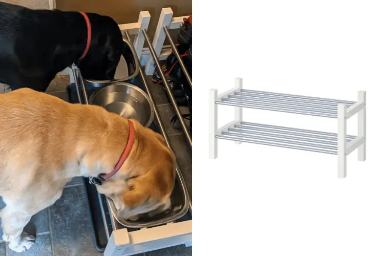 Easy Elevated Pet Bowl Feeder: поднимите ужин на новый уровень