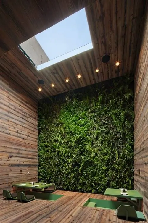 Зеленая стена украшает ресторан Tori Tori в Мехико от Rojkind Arquitectos + ESRAWE Studio.