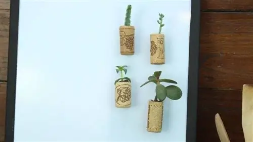 Пробковая доска с деревянным каркасом своими руками Пробковая доска с деревянным каркасом своими руками