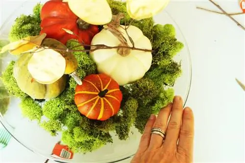 Куполообразная тыквенная нашивка своими руками Куполообразная тыквенная нашивка своими руками